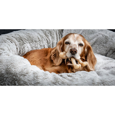 Nylabone Hundespielzeug Nylabone Huhn 20 Creme Tiere