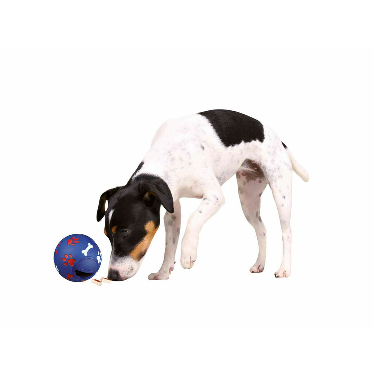 Trixie Hundespielzeug Trixie Kunststoff Snacks