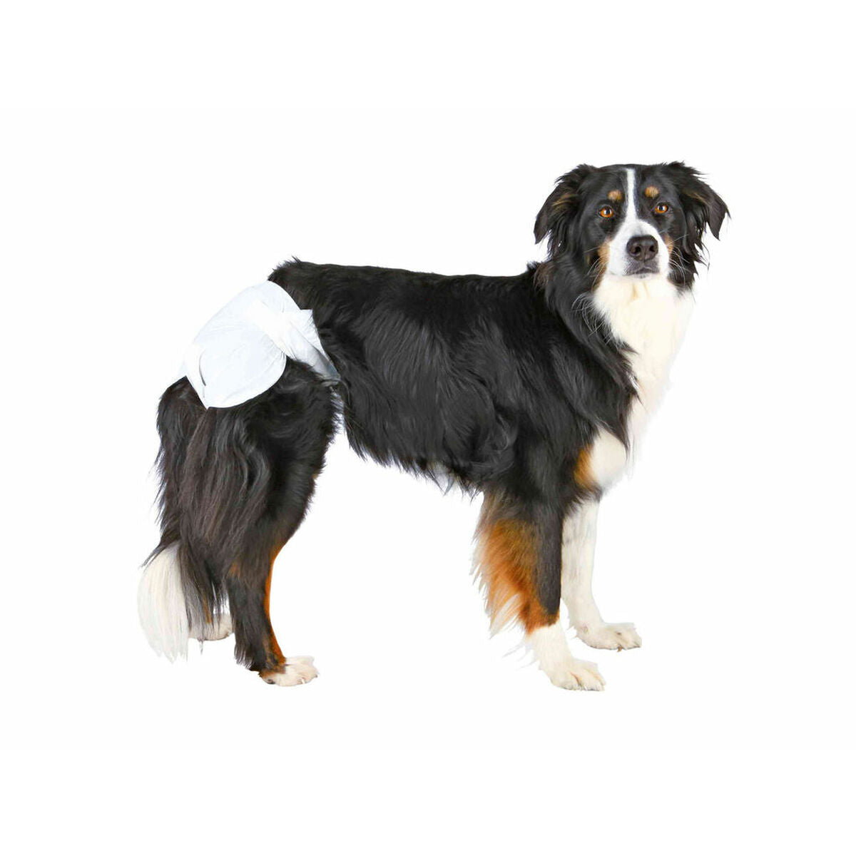 Trixie Windeln Trixie Tx-23636 Xl