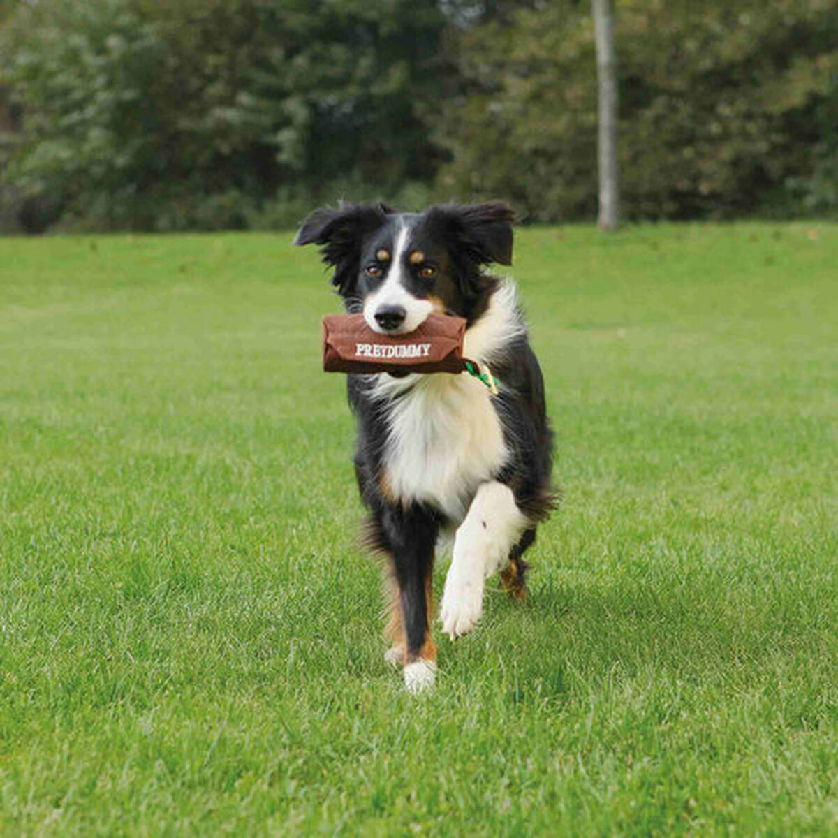 Trixie Hundespielzeug Trixie Braun Canvas-Stoff Ø 8 × 20 Cm