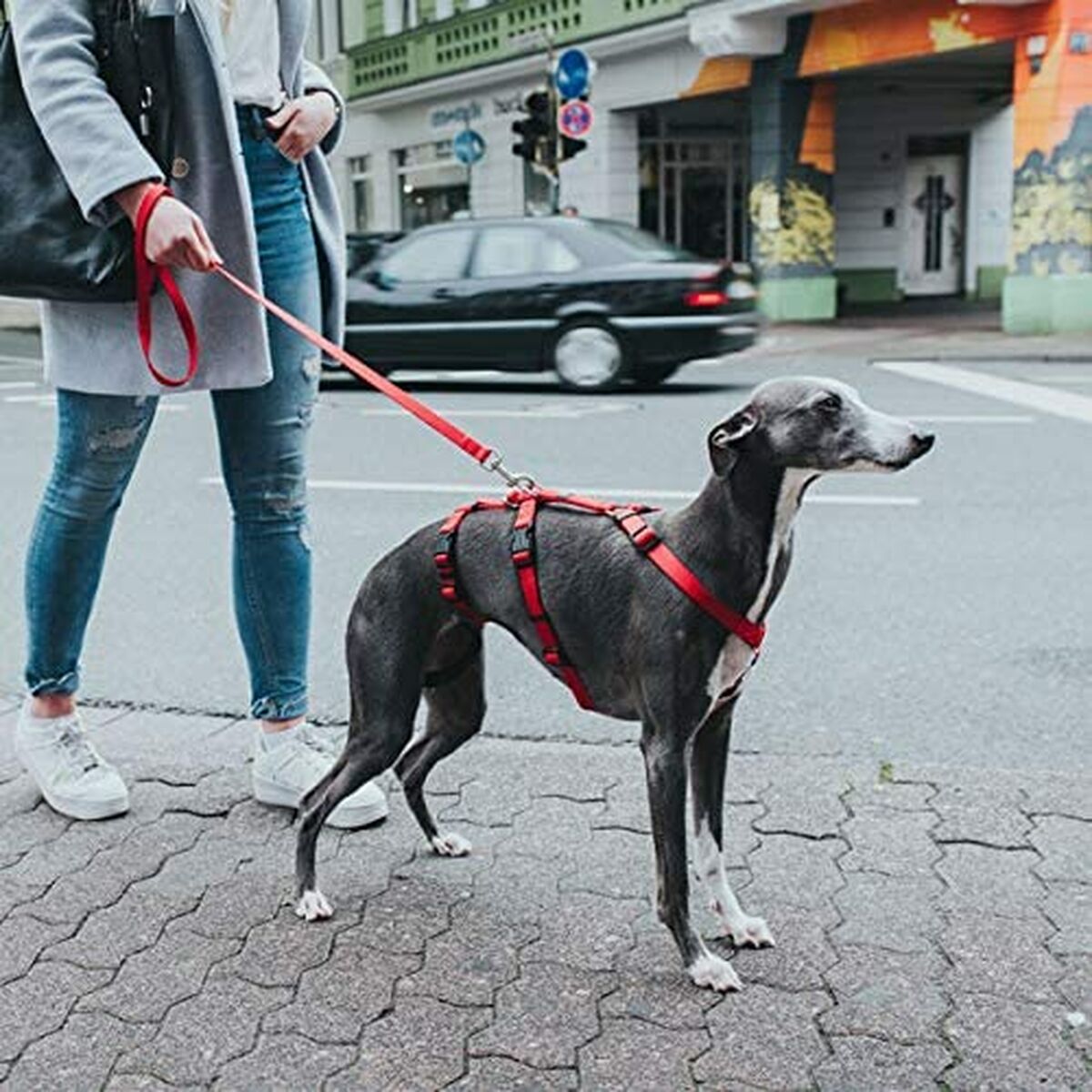 Hunter Hundegeschirr Hunter 48-70 Cm Rot S/M 36-51 Cm