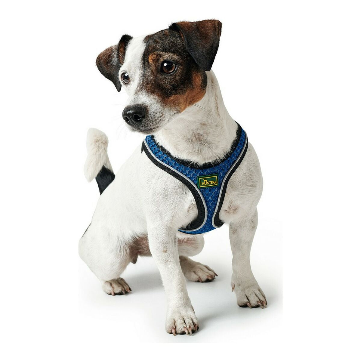 Hunter Hundegeschirr Hunter 35-37 Cm Blau Xs
