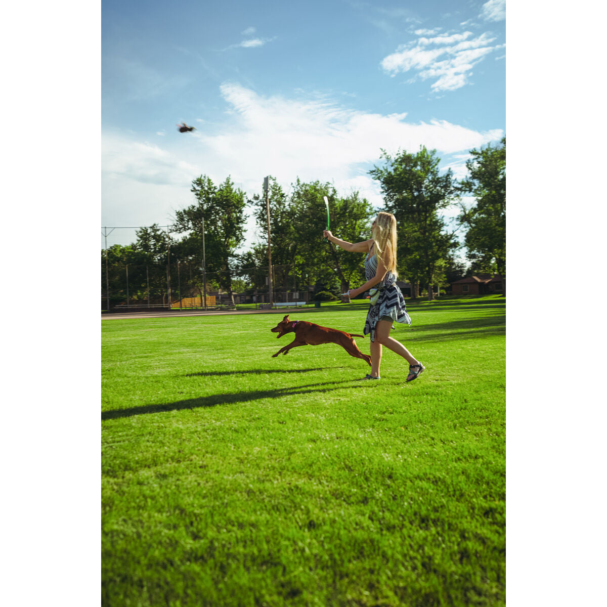 Hunter Hundespielzeug Hunter