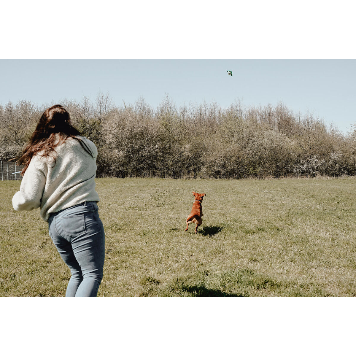 Hunter Hundespielzeug Hunter