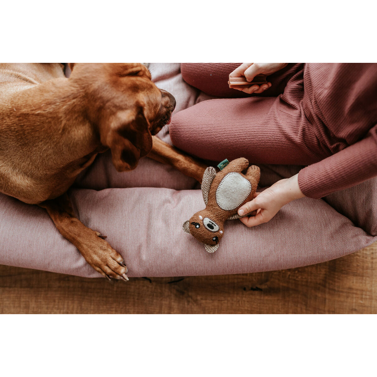 Hunter Kuscheltier Für Hunde Hunter Braun 100 % Recycelter Bär