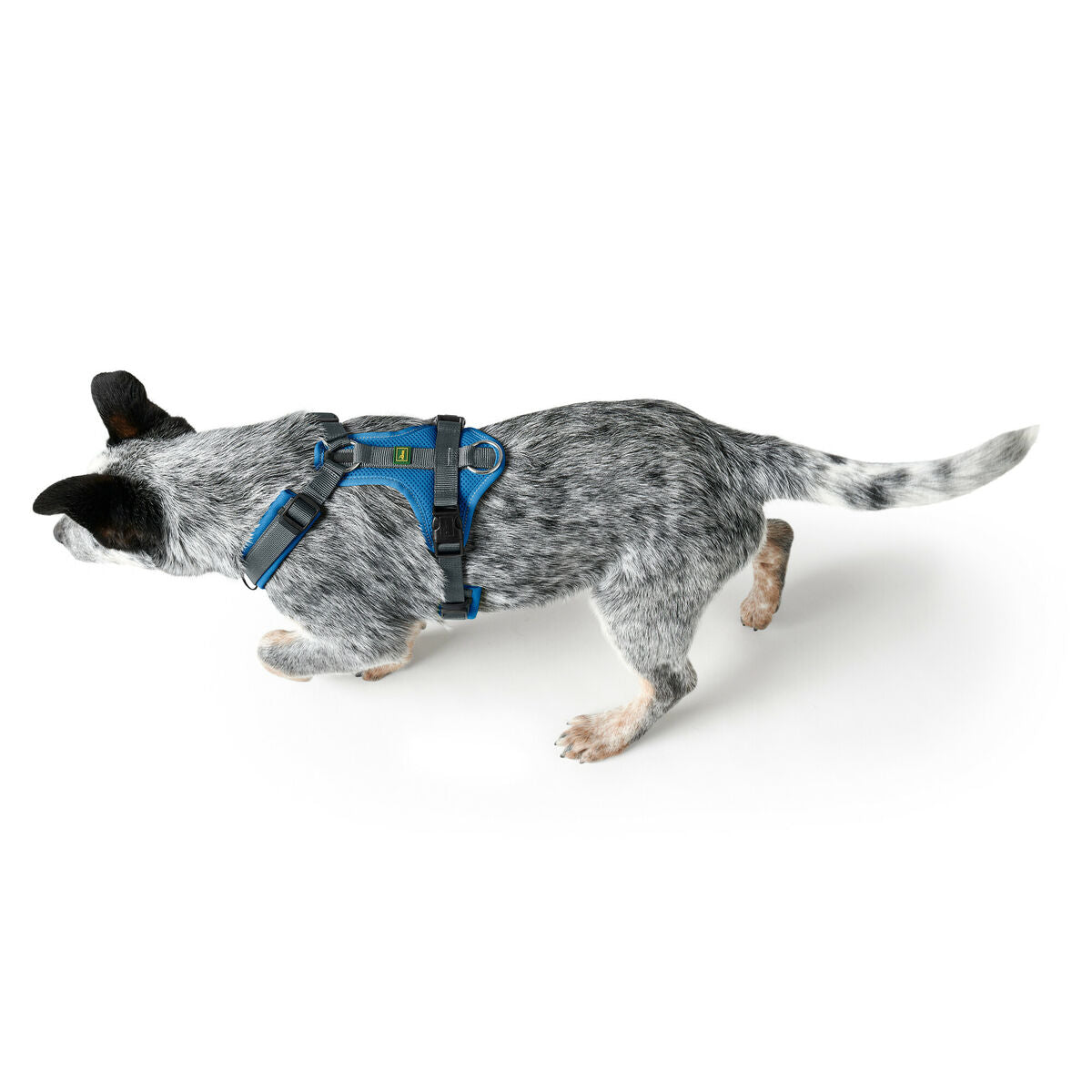 Hunter Hundegeschirr Hunter Maldon Up Blau 66-118 Cm