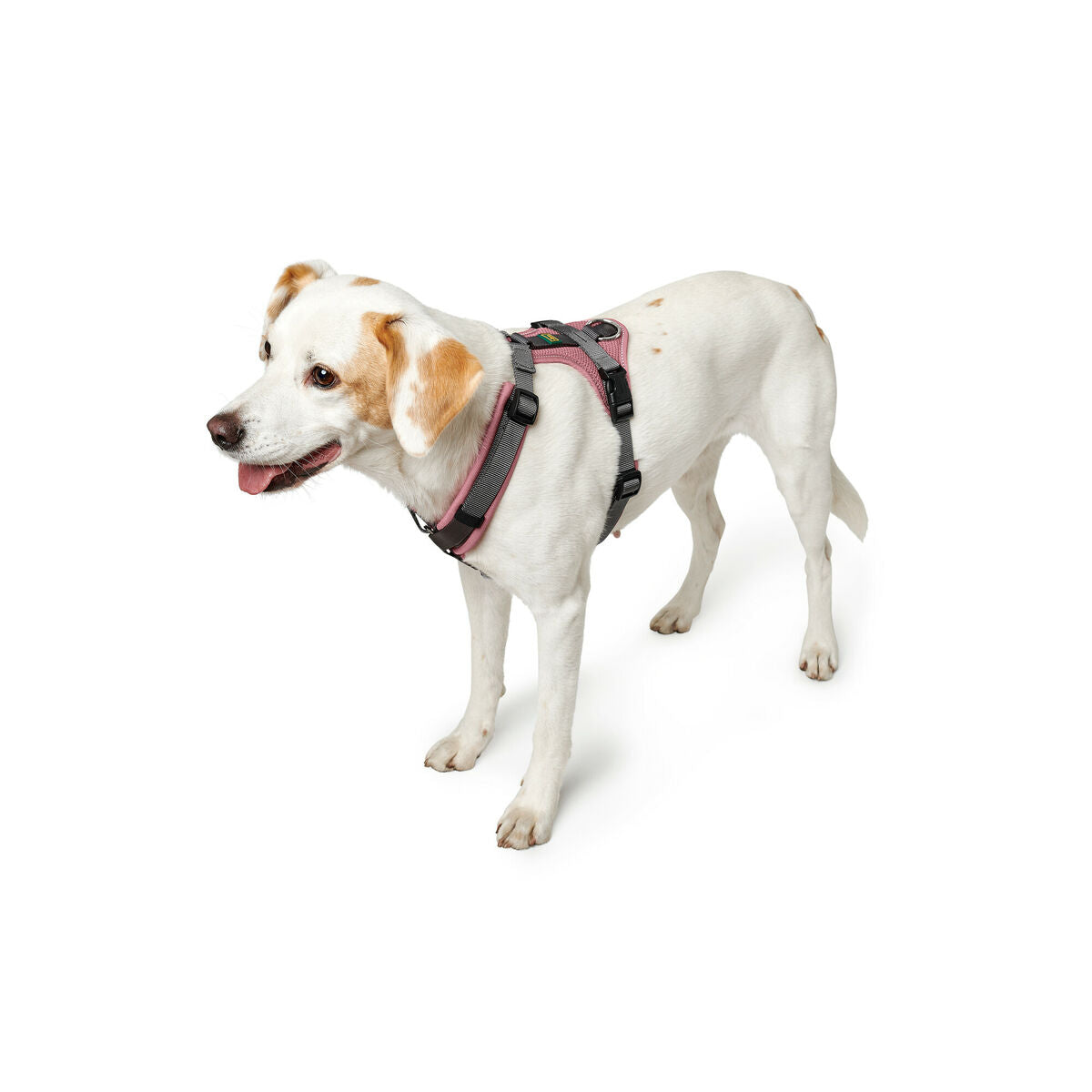 Hunter Hundegeschirr Hunter Maldon Up Rosa 38-62 Cm