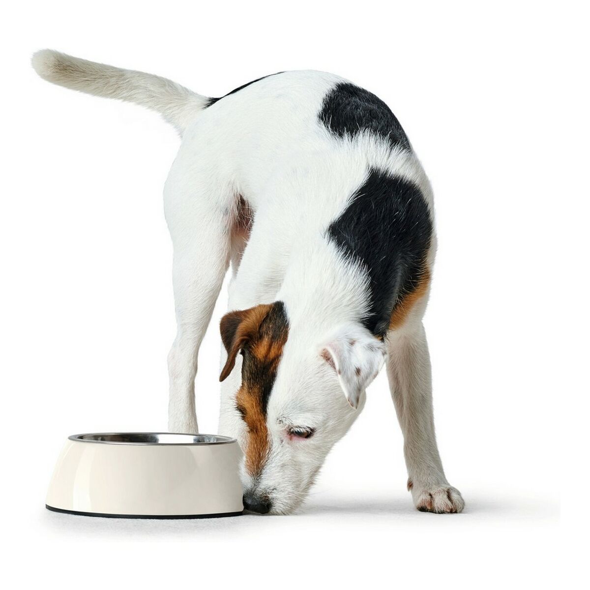 Hunter Futternapf Für Hunde Hunter Melamine Edelstahl Weiß 160 Ml (14,5 X 14,5 X 7 Cm)