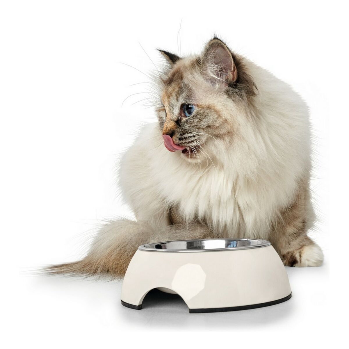 Hunter Futternapf Für Hunde Hunter Melamine Edelstahl Weiß 160 Ml (14,5 X 14,5 X 7 Cm)