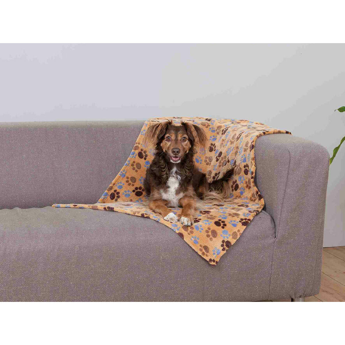 Trixie Decke Für Haustiere Trixie Laslo Beige 100 × 70 Cm
