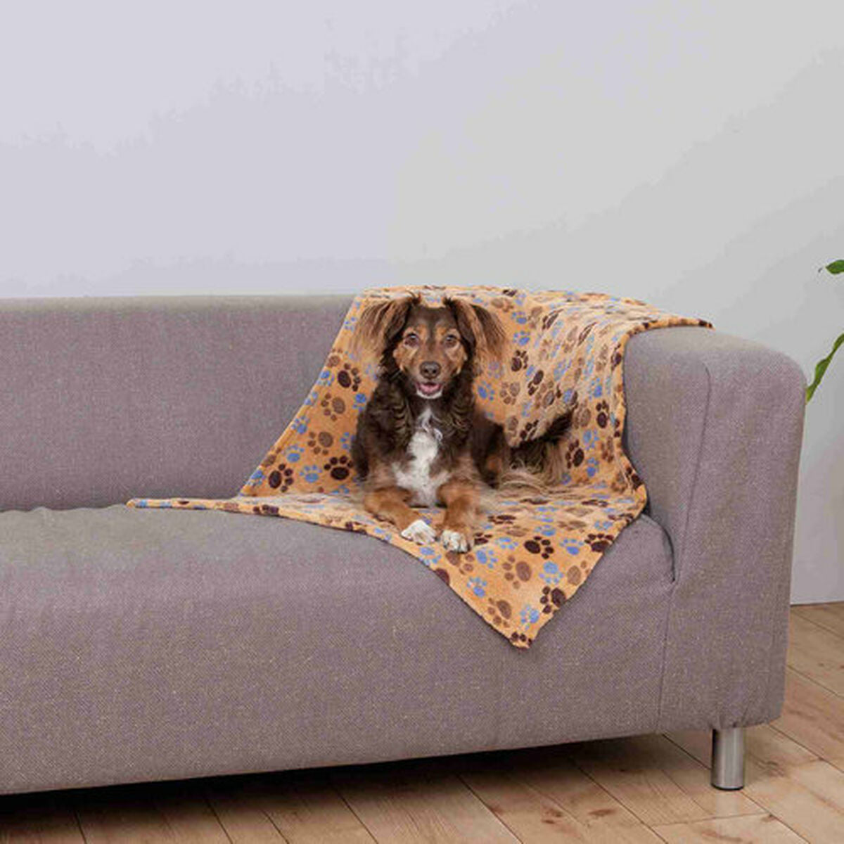Trixie Decke Für Haustiere Trixie Laslo Beige 100 × 70 Cm