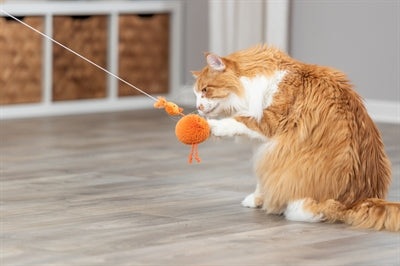 Trixie An Elastischer Schnur Aus Plüsch Mit Katzenminze