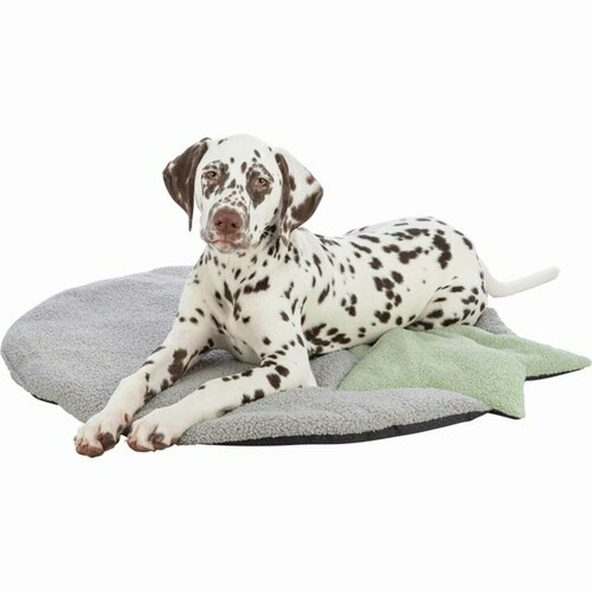 Trixie Matratze Trixie Grau Minze 86 X 80 Cm