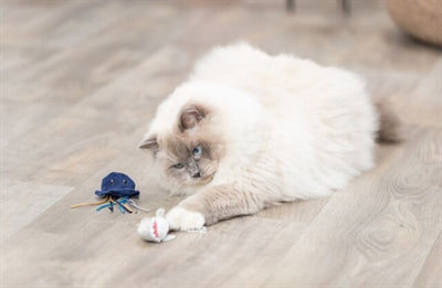 Trixie Meerestiere Plüsch Mit Katzenminze Sortiert