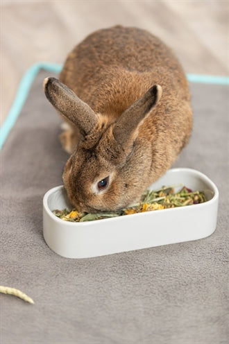 Trixie Futter-/Trinkschale Oval Keramik Sortiert