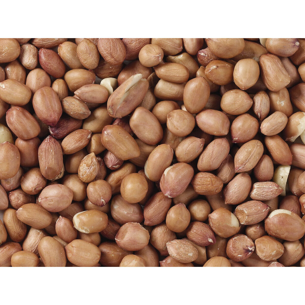 Deli Nature Vogelfutter Deli Nature Premium 3 Kg