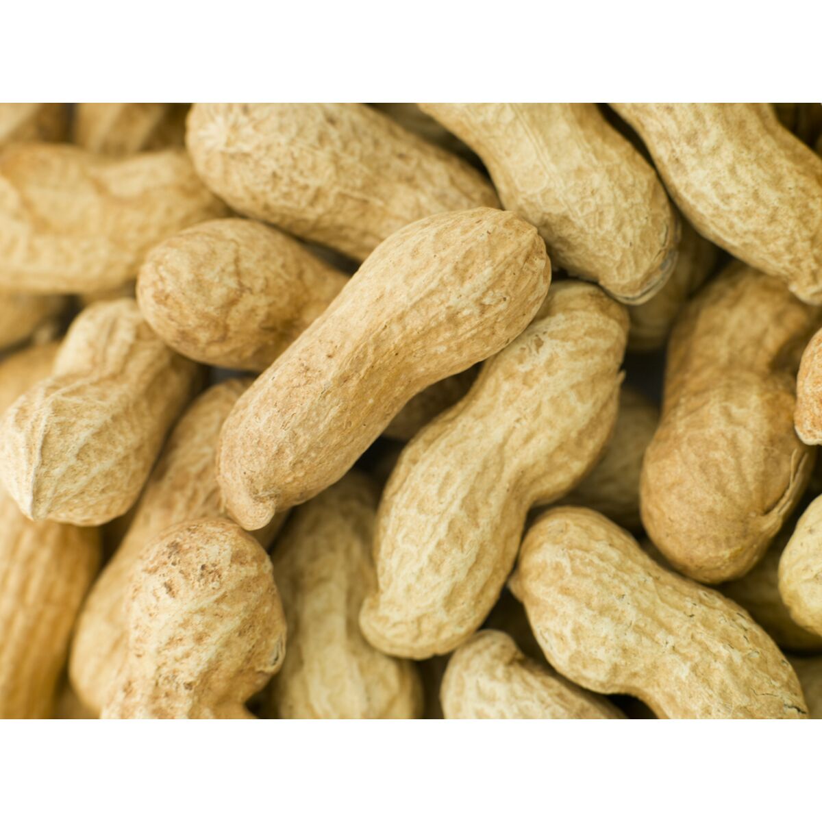 Deli Nature Vogelfutter Deli Nature Premium 1,6 Kg