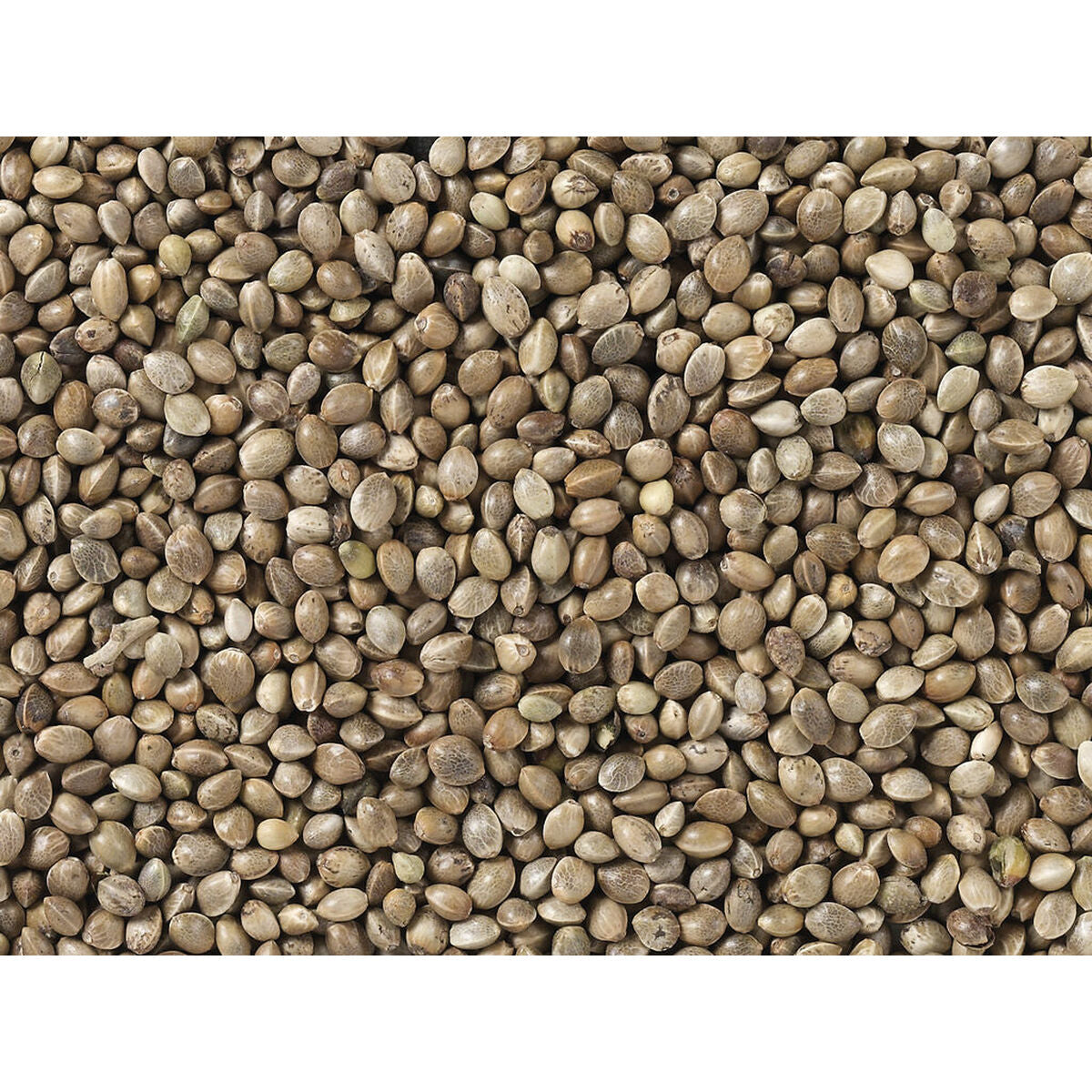 Deli Nature Vogelfutter Deli Nature Premium