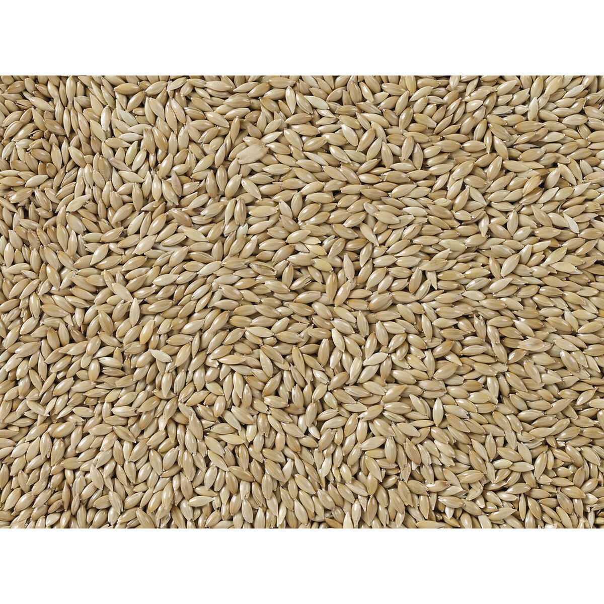 Deli Nature Vogelfutter Deli Nature Premium 5 Kg