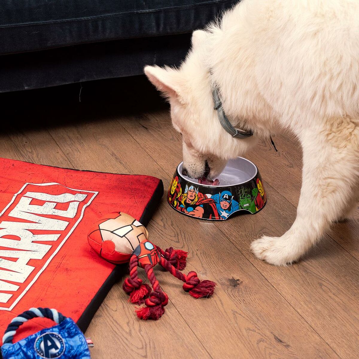 Marvel Futternapf Für Hunde Marvel Melamine 180 Ml Rot Metall