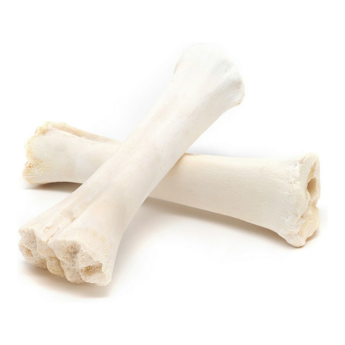 Gloria Hundesnack Gloria Knochen Kalzium 20 Stück