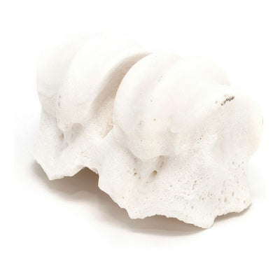 Gloria Hundesnack Gloria Knöchel Kalzium