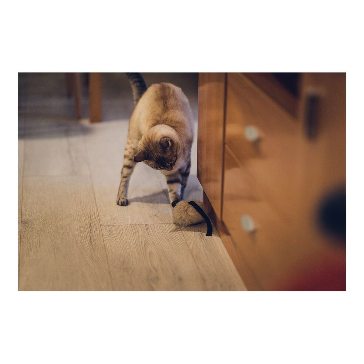 Gloria Katzenspielzeug Gloria Calatrava Mouse