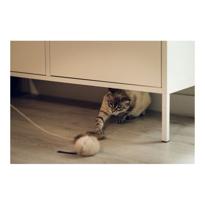 Gloria Katzenspielzeug Gloria Renzo Mouse