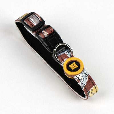 Harry Potter Geschenkset Harry Potter Rot Multi-Komposition Hund 4 Stücke