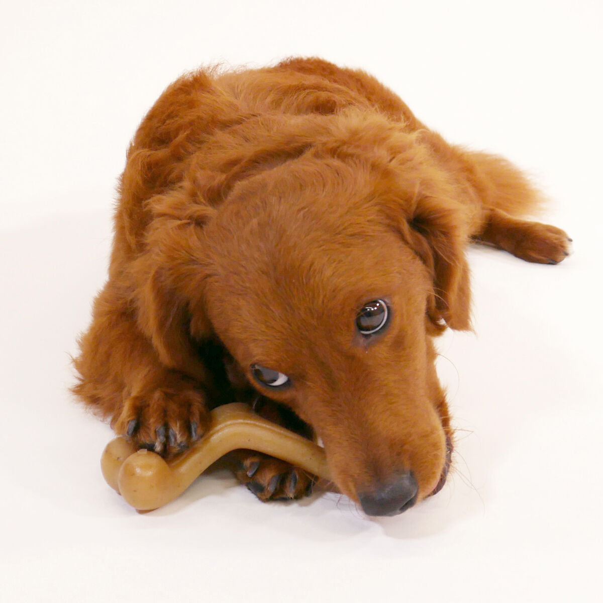 Nylabone Hundespielzeug Nylabone Huhn 20 Creme Tiere