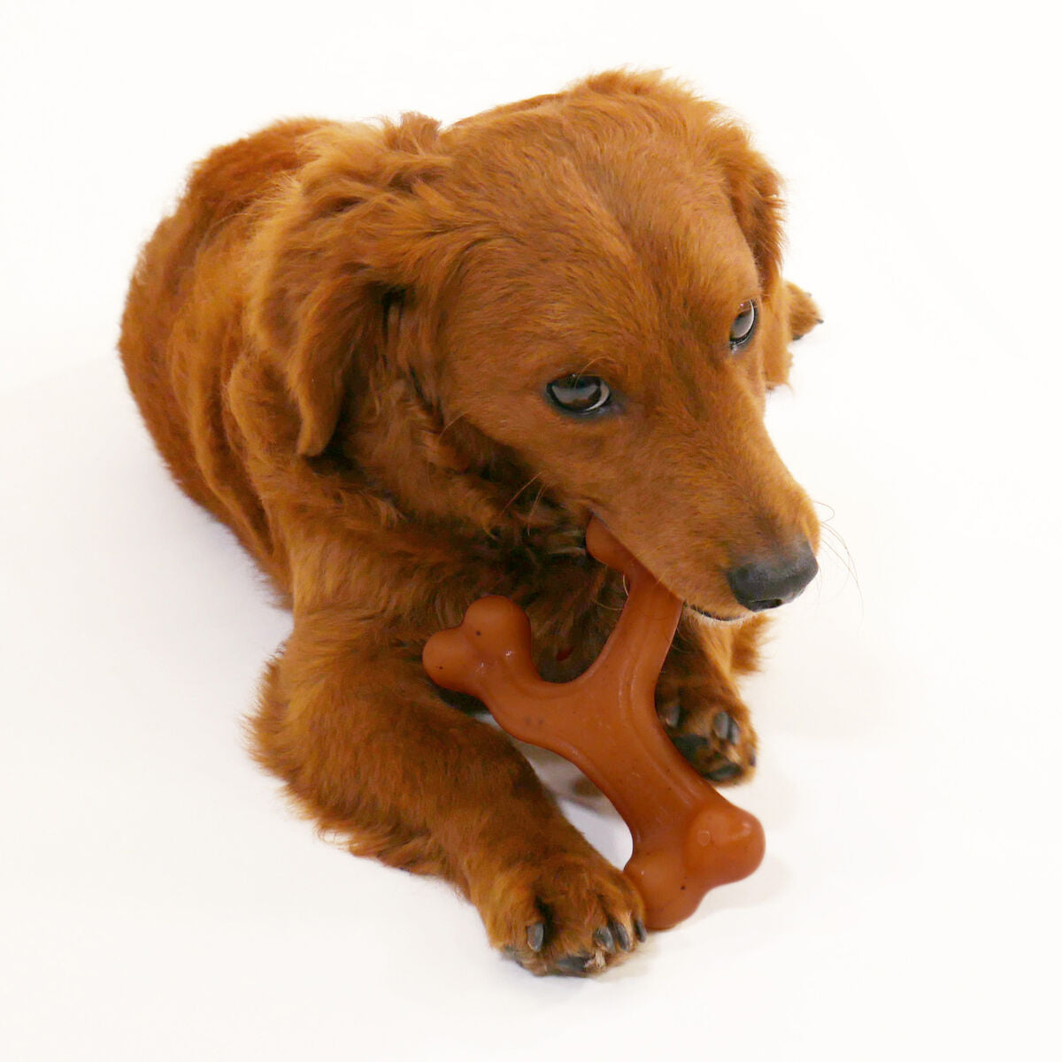 Nylabone Hundespielzeug Nylabone 20 Braun Tiere