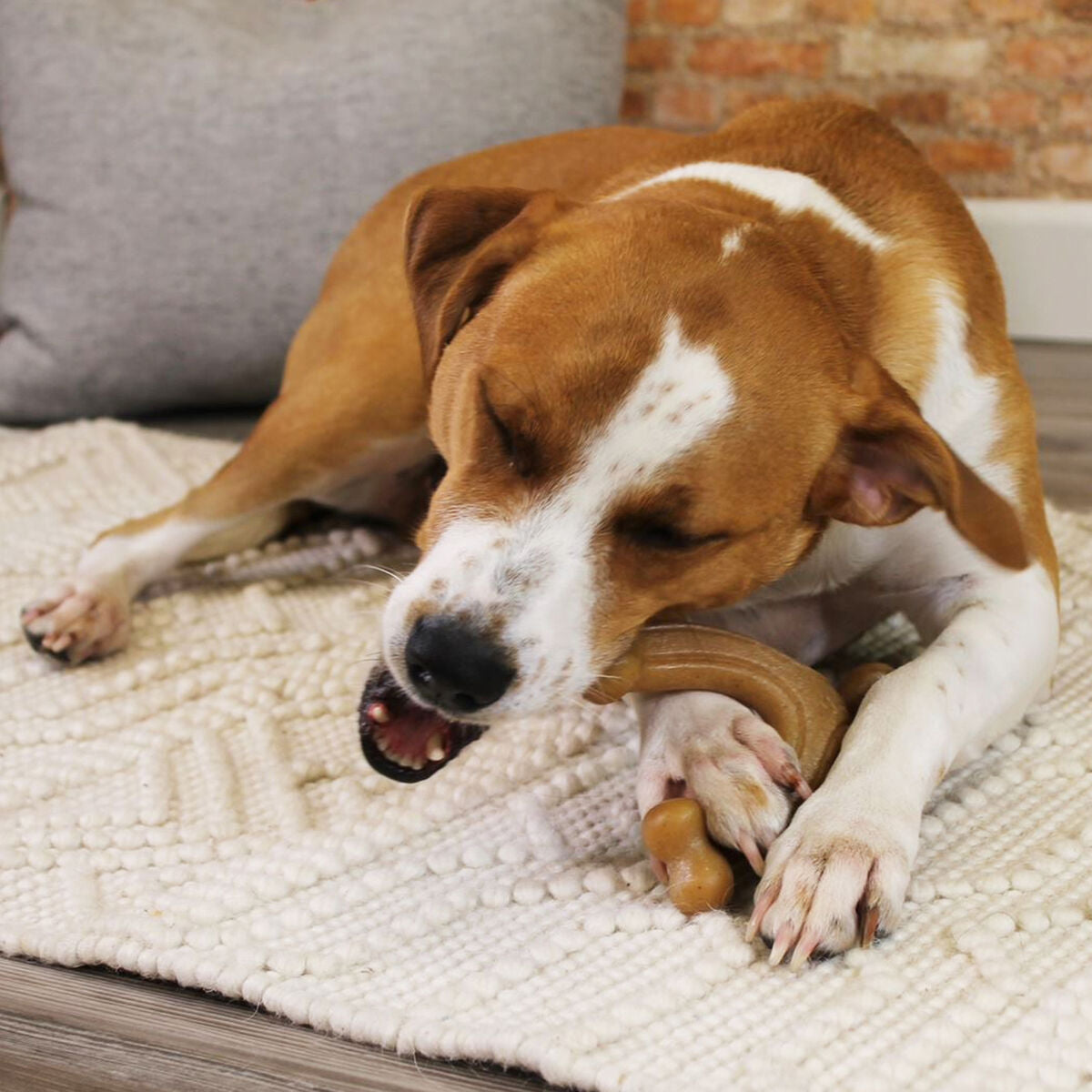 Nylabone Hundespielzeug Nylabone 11 Braun Tiere
