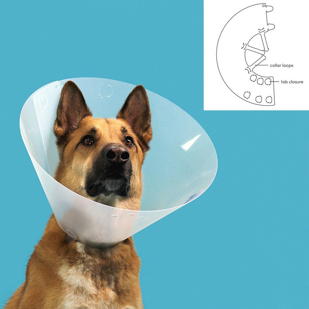 Kvp Hunde-Halskrause Kvp Quick Fit Durchsichtig (33-40 Cm)