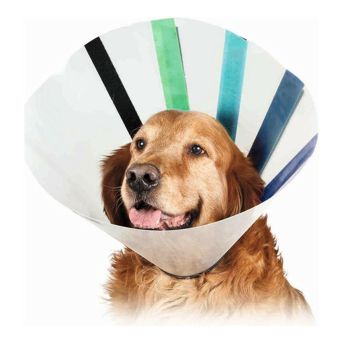 Kvp Hunde-Halskrause Kvp Ez Clear (32-39 Cm)