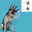 Kvp Hunde-Halskrause Kvp Ez Clear (32-39 Cm)