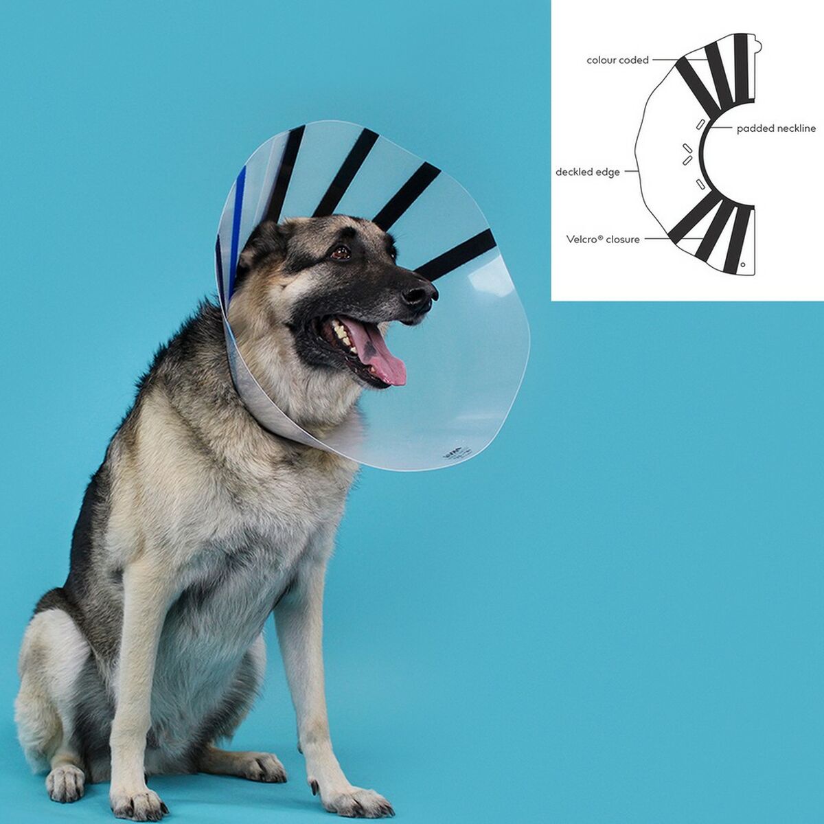 Kvp Hunde-Halskrause Kvp Ez Clear (32-39 Cm)