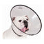 Kvp Hunde-Halskrause Kvp Saf-T-Clear Durchsichtig (17-20 Cm)