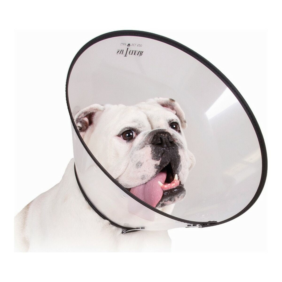 Kvp Hunde-Halskrause Kvp Saf-T-Clear Durchsichtig (15-23 Cm)