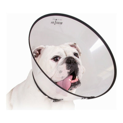 Kvp Hunde-Halskrause Kvp Saf-T-Clear Durchsichtig (15-23 Cm)