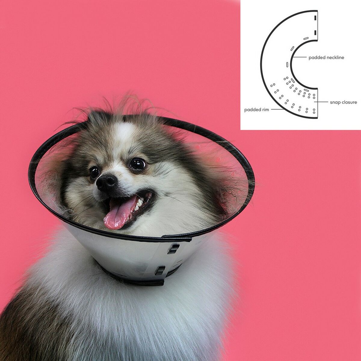 Kvp Hunde-Halskrause Kvp Saf-T-Clear Durchsichtig (17-30 Cm)