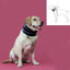 Kvp Halskrause Für Hunde Kvp Schwarz (6-28 Cm)