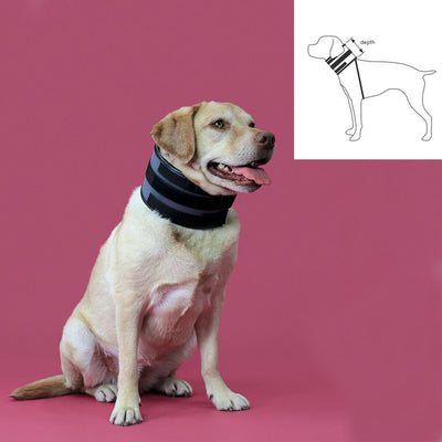 Kvp Halskrause Für Hunde Kvp Schwarz (10-41 Cm)