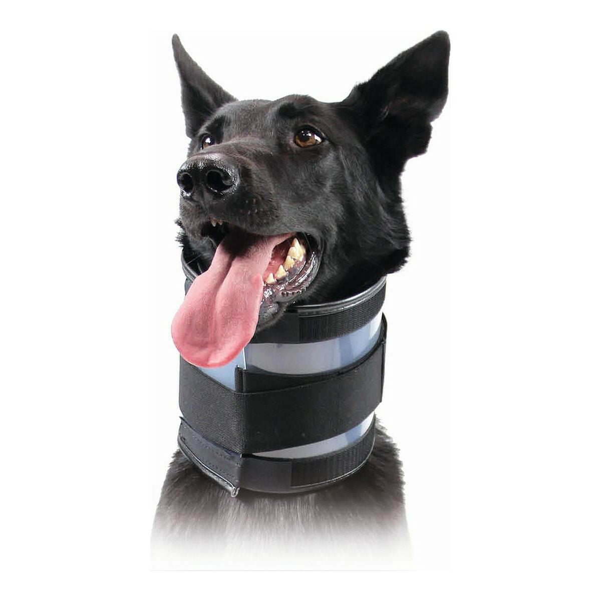 Kvp Halskrause Für Hunde Kvp Schwarz (15-53 Cm)