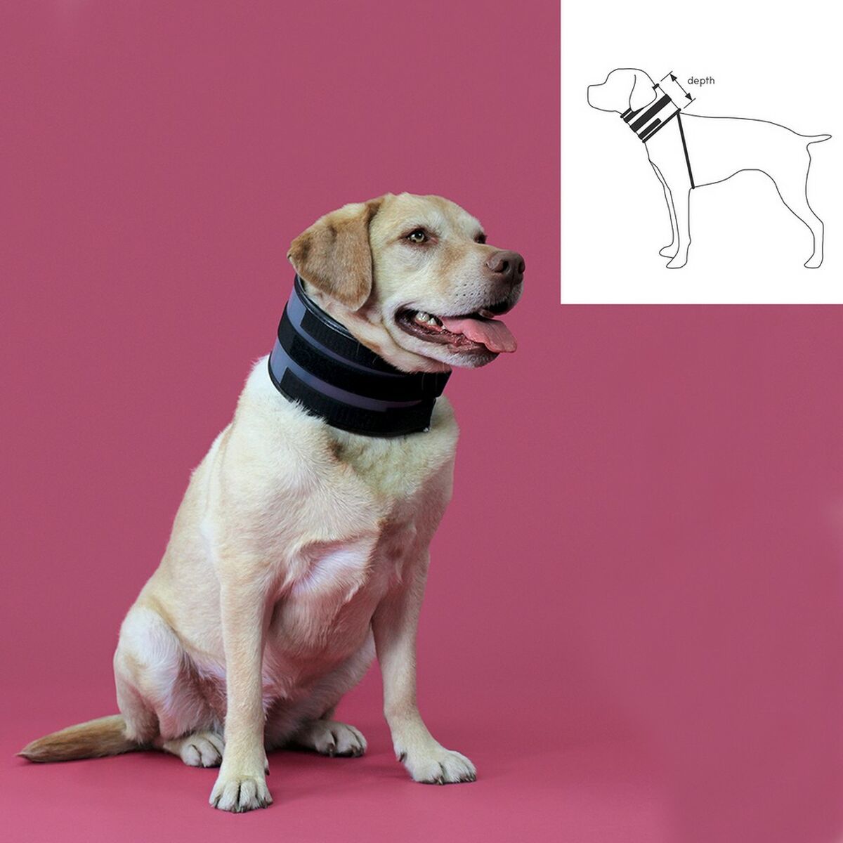 Kvp Halskrause Für Hunde Kvp Schwarz (15-53 Cm)