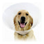 Kvp Hunde-Halskrause Kvp Check Durchsichtig (43-57 Cm)