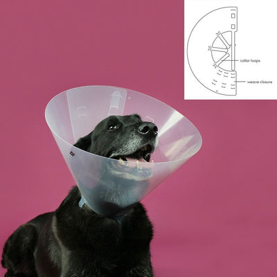 Kvp Hunde-Halskrause Kvp Betsy Durchsichtig (33-41 Cm)