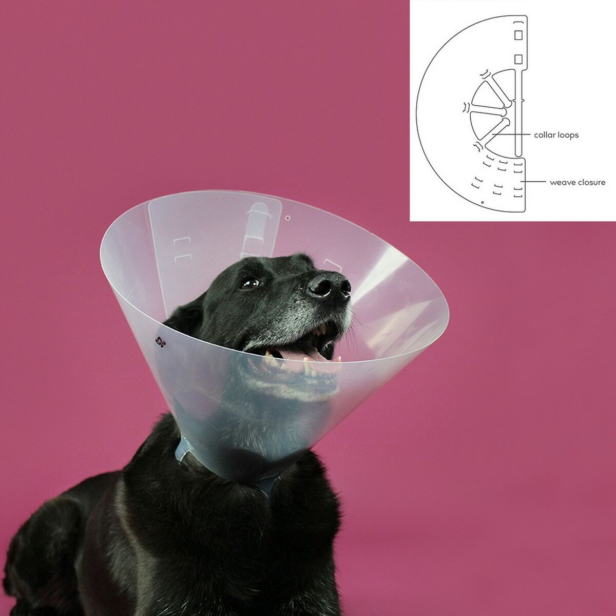 Kvp Hunde-Halskrause Kvp Betsy Durchsichtig (45-56 Cm)