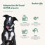Company Of Animals Maulkorb Company Of Animals Schwarz 3