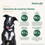 Company Of Animals Maulkorb Company Of Animals Schwarz 3