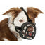 Company Of Animals Maulkorb Company Of Animals Schwarz 5